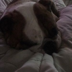 Meet your Posher, Grant